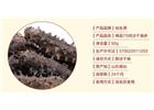 海參的清淡吃法都有那些？